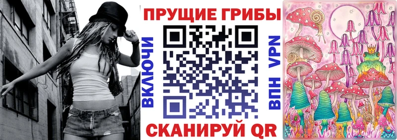 продажа наркотиков  нарко площадка состав  Галлюциногенные грибы прущие грибы  Новотитаровская 